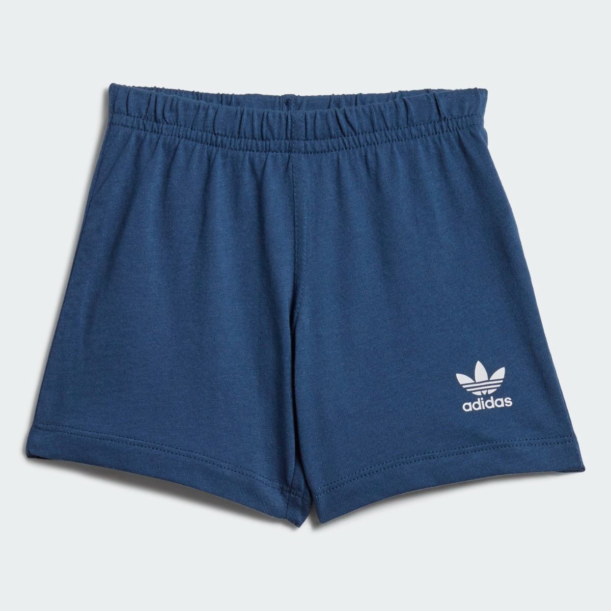 BIG TREFOIL STS