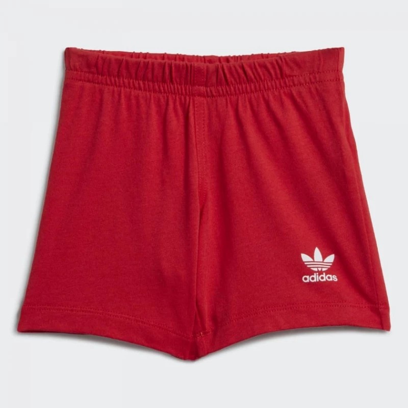 BIG TREFOIL STS