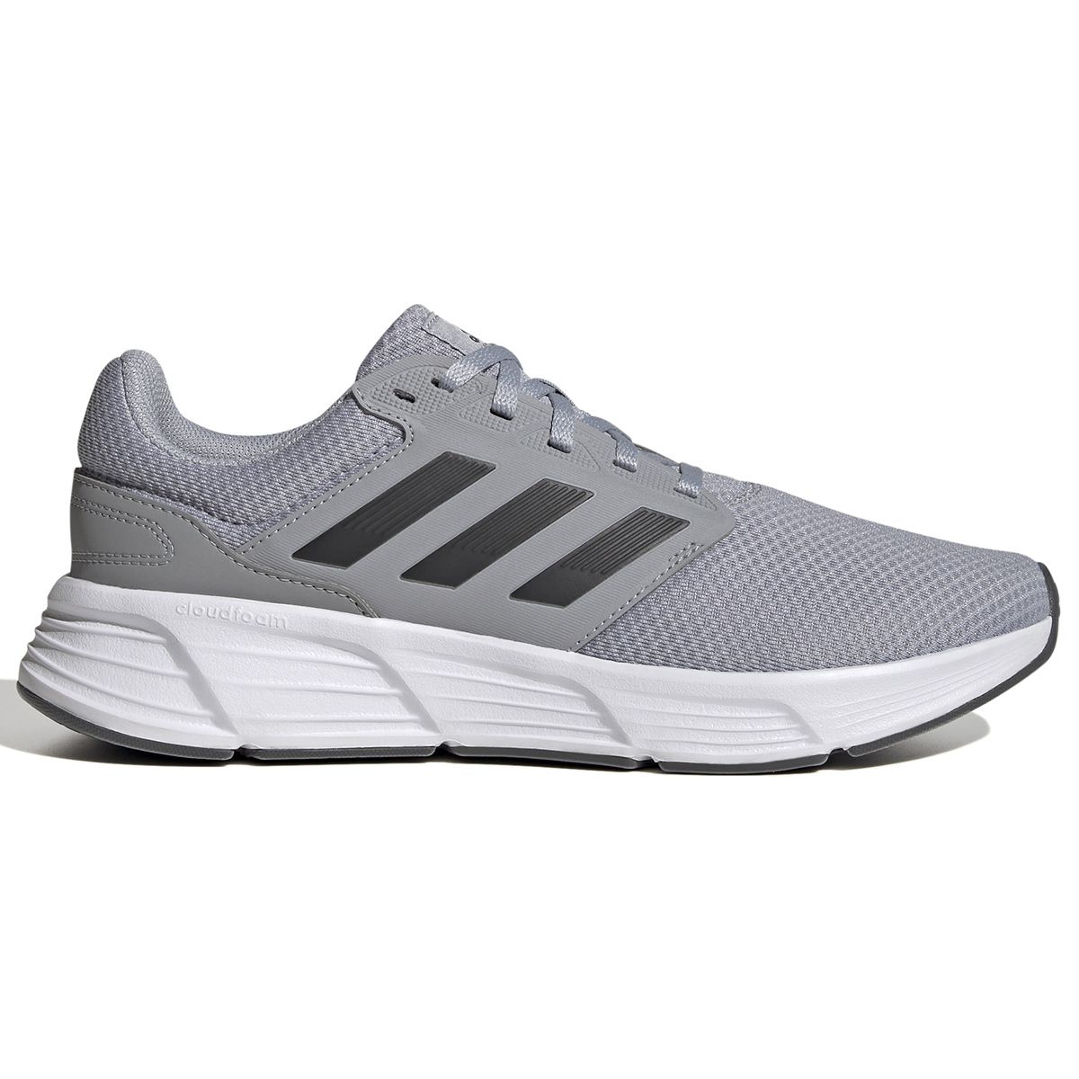 GALAXY 6 M          HALSIL/CARBON/FTWWHT